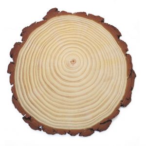Large Size Natural Wooden Slice 30 - 35 cm