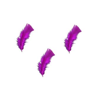 Big Feathers Pack - Purple