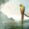 Parrot At Mountain Decoupage Napkin