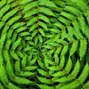 Circle Leaves Decoupage Napkin