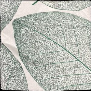 Green Leaf Decoupage Napkin
