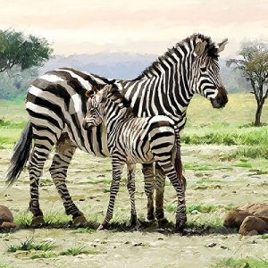 Zebras Decoupage Napkin