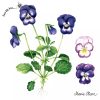 Blue Flower With Leaf Decoupage Napkin