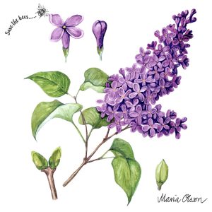 Lilac Flower Decoupage Napkin