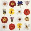 Flowers Decoupage Napkin