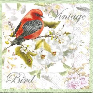 Vintage Bird Decoupage Napkin