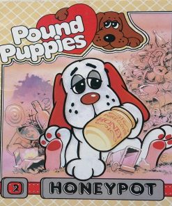 Pound Puppies Honeypot by Tom Ruegger