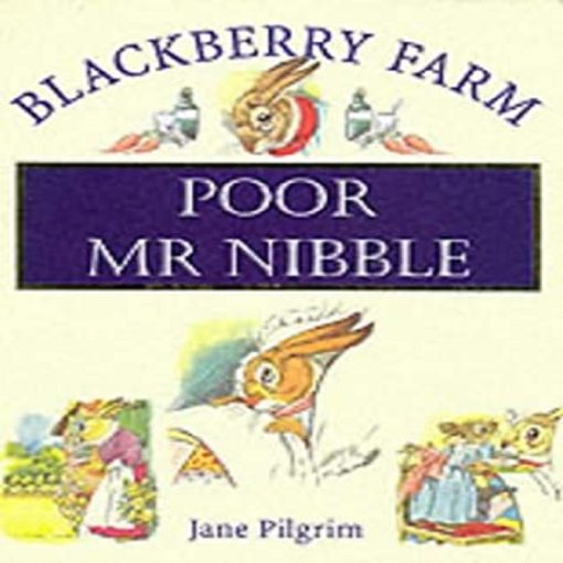 Poor Mr Nibble by Jane Pilgrim