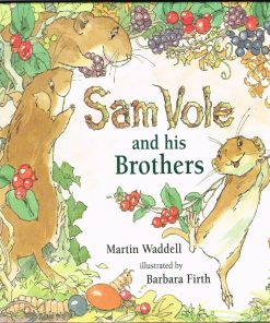 Sam Vle and His Brotherso by Martin Waddell