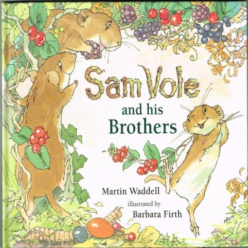 Sam Vle and His Brotherso by Martin Waddell