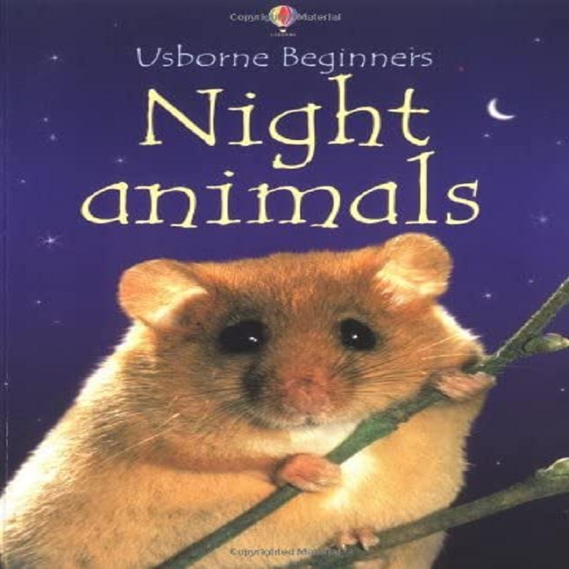 Usborne Beginners Night Animals by Meredith Susan