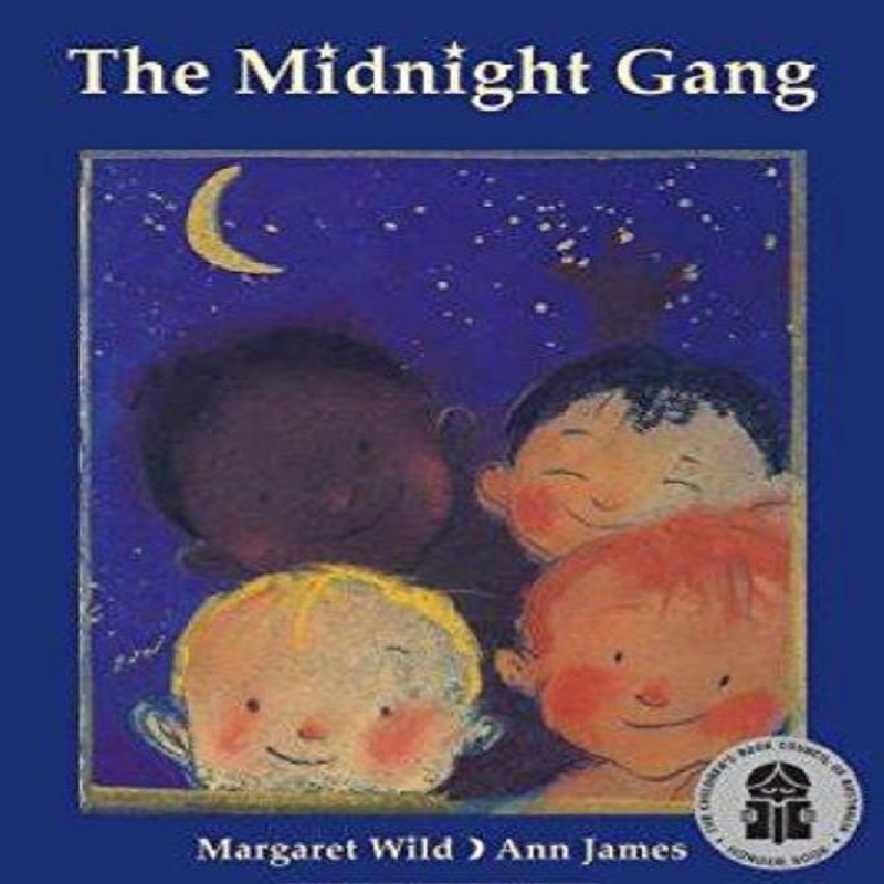 The Midnight Gang by Wild, James