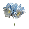 Mulberry Flowers - Baby Blue
