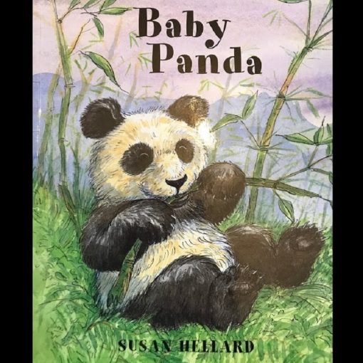 Baby Panda by Susan Hellard