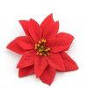 Velvet Poinsettia Flower