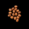 Oval Shape Wooden Beads