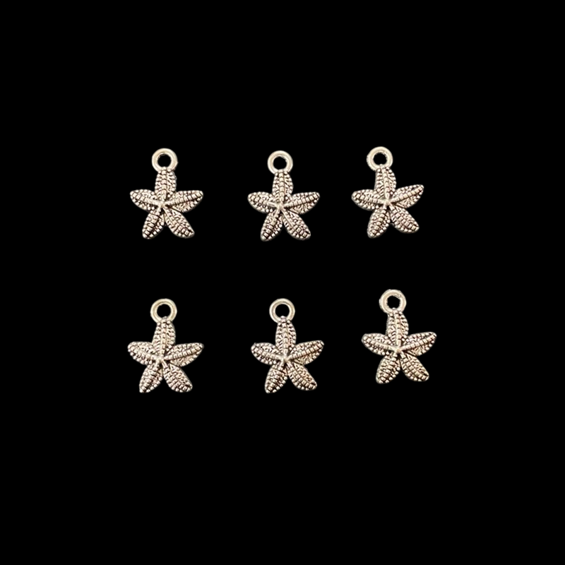 Silver Star Charm