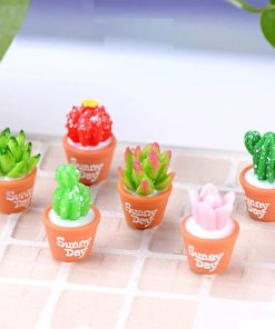Miniature Cactus