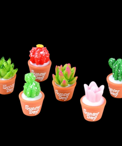 Alternative view of Miniature Cactus