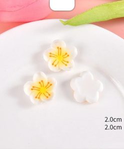 Miniature Five White Petal Flower