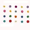 Dried Pressed Flower Multi Colour