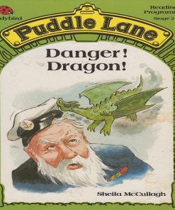 Danger Dragon By Sheila McCullagh