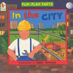 In the City By Sally Hobson