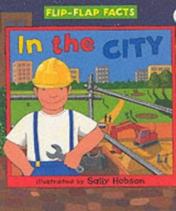 In the City By Sally Hobson