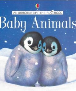 Baby Animals Lift the flap Learners By Judy Tatchellm