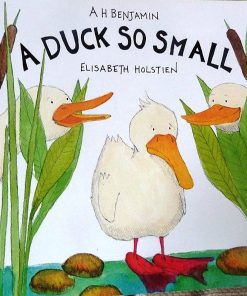A Duck So Small By A H Benjamin