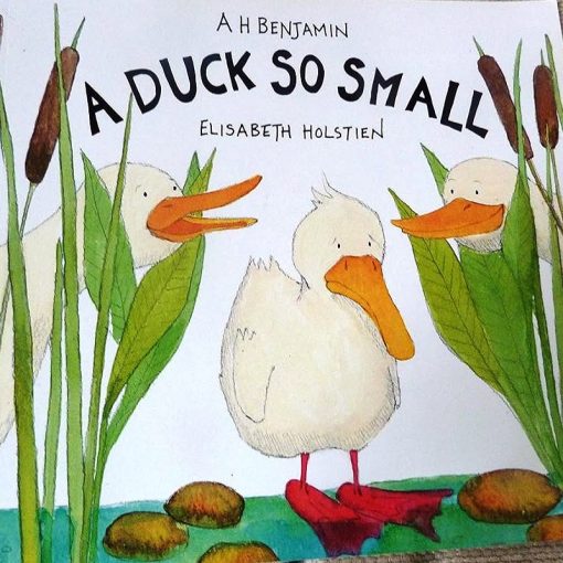 A Duck So Small By A H Benjamin