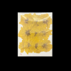 Dried Pressed Flower - Yellow