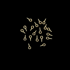 Gold Eye Screws