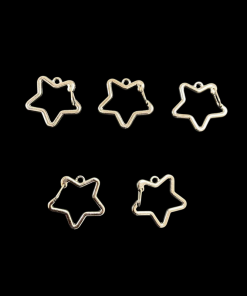 Clasp Key Chain - Star