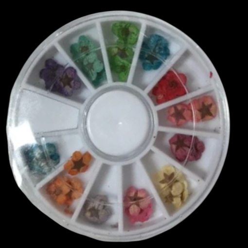 Dried Flowers In Round Shape Box