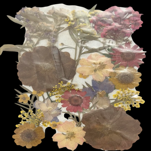 Dried Flowers