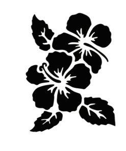 Pretty Hibiscus Flowers Stencils