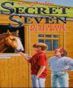 Pre-Owned Fun For The Secret Seven By Enid Blyton