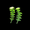 Miniature Plastic Plant - Green With White