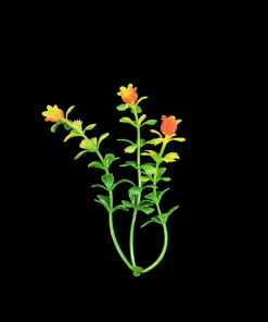 Miniature Plastic Plant - Orange With Yellow