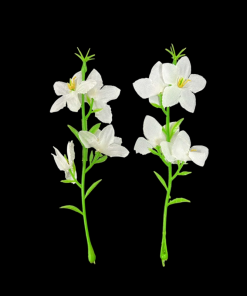 Miniature Plastic Plant - White With Green