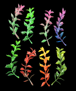 Miniature Plastic Plant - Mixed Colour