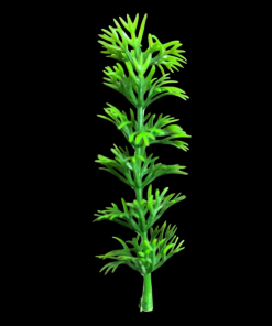 Miniature Plastic Green Plant