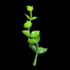 Miniature Plastic Green Plant
