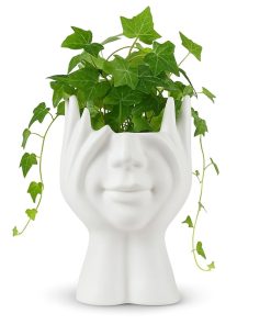 Plastic Small Home Decorative Face Planter