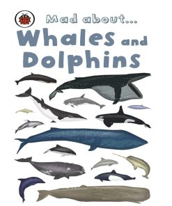 Preowned Mad About Whales And Dolphins