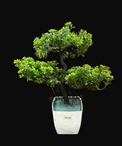 Artificial Bonsai Tree Plants In White Pot