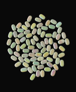 Flat Oval Double Shaded Acrylic Beads - Pastel Colour Green