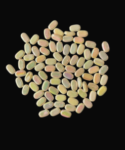 Flat Oval Double Shaded Acrylic Beads - Cream Colour