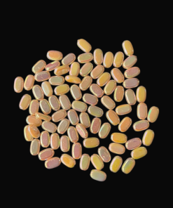 Flat Oval Double Shaded Acrylic Beads - White With Cream